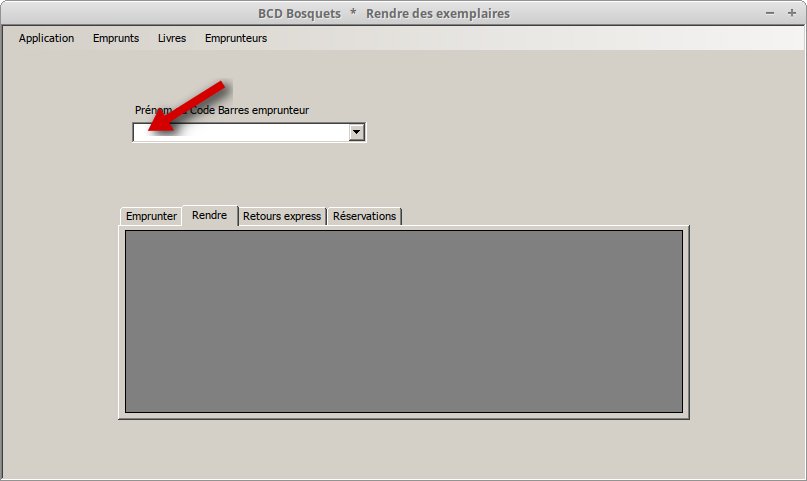 Sélectionner l'emprunteur