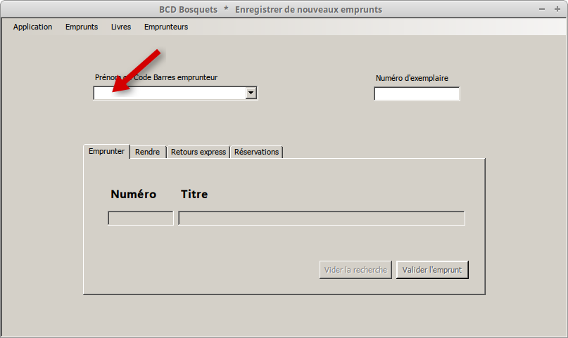 Sélectionner l'emprunteur
